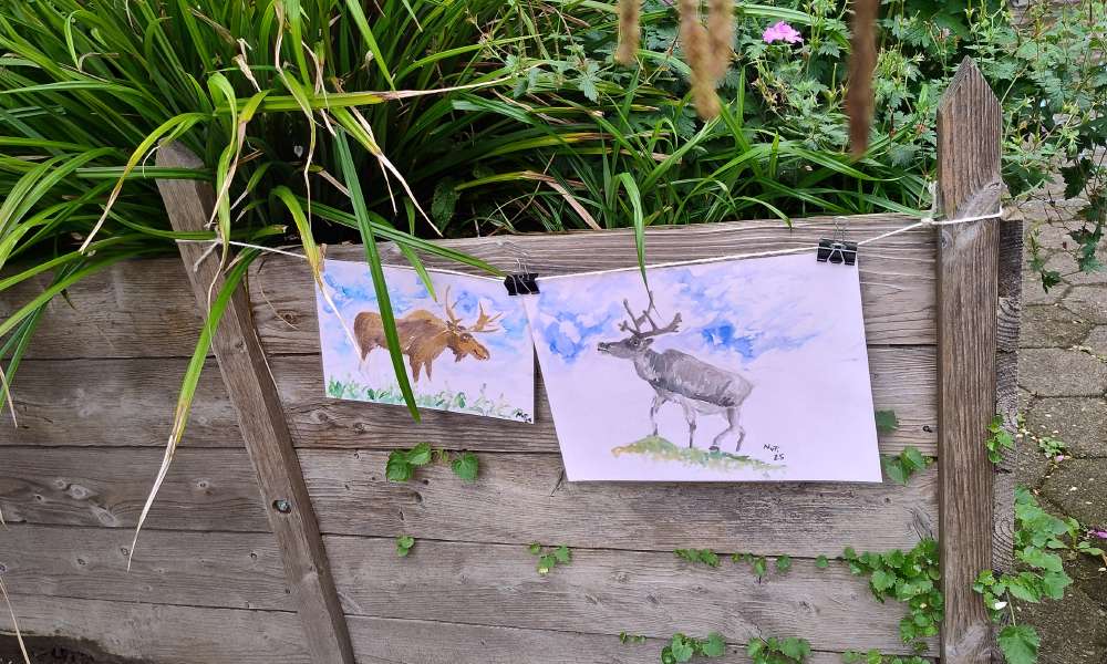 Bild zum Artikel: 25-07-21 Sommerfest